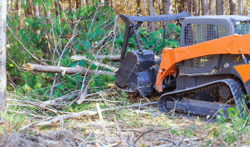 LAND CLEARING